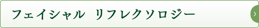 フェイシャル リフレクソロジー